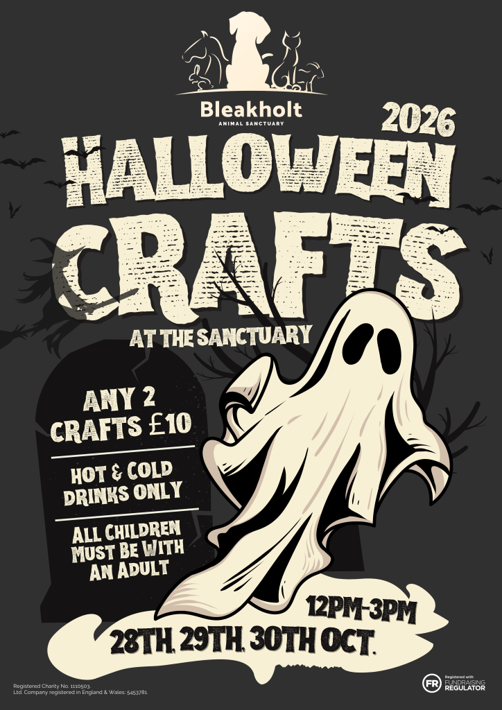 Halloween Crafts at Bleakholt